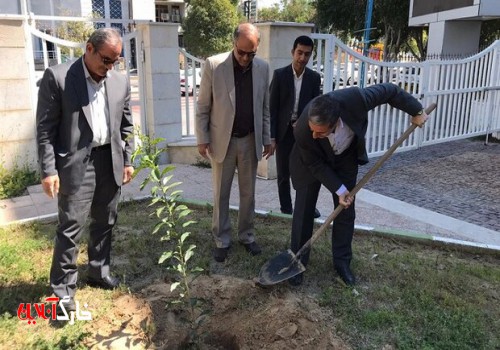 ۳۰ هزار اصله نهال به صورت همگانی در استان بوشهر توزیع می‌شود