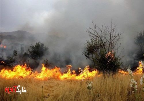 حریق در مراتع دشتستان مهار شد/ مراتع تنگستان در حال سوختن است