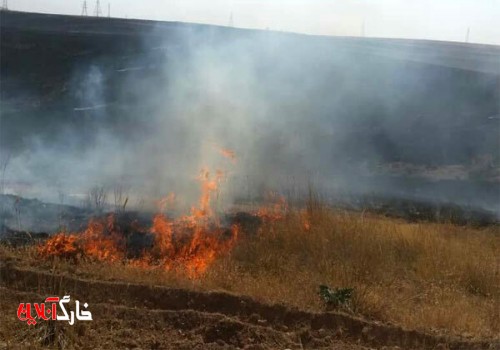 نقش احتمالی گردشگران در بروز آتش سوزی گسترده در خائیز تنگستان