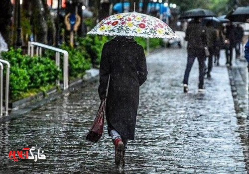 بارش باران در استان بوشهر ادامه دارد/ وزش بادهای شدید