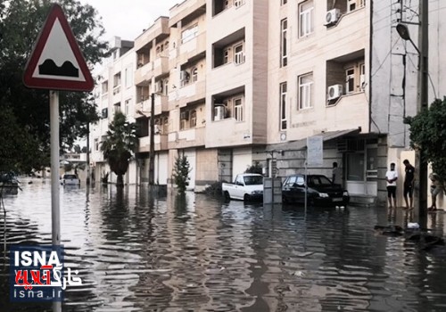 ویدئو / آبگرفتگی در معابر بوشهر