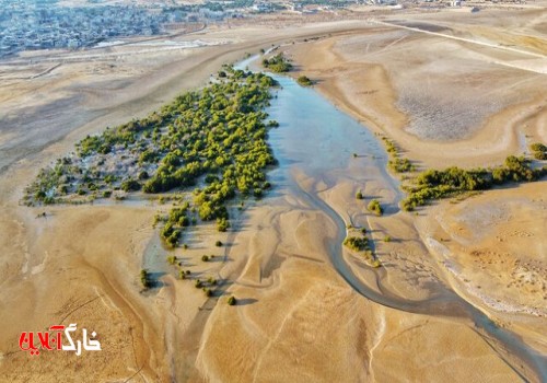 جنگ با جنگل‌های حرّا را متوقف کنید!