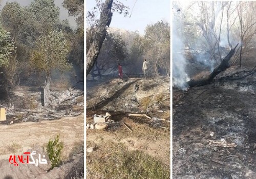 قصه تکراری در نوروز هر سال؛ جنگل گلوبردکان دچار آتش‌سوزی شد