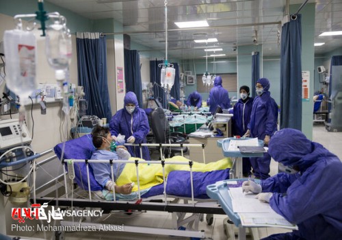 ۲۱۳ بیمار در بخش‌های کرونایی استان بوشهر بستری هستند