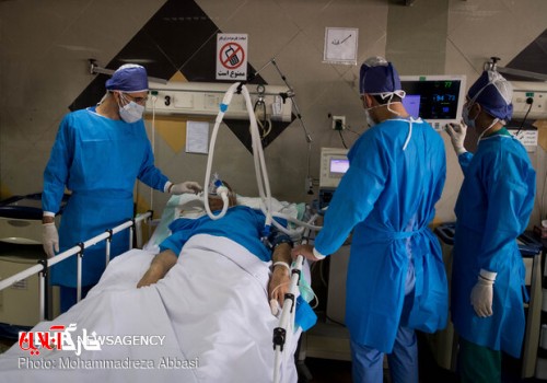 ۴۳۰ بیمار کرونایی در استان بوشهر بستری هستند/ افزایش موارد فوتی