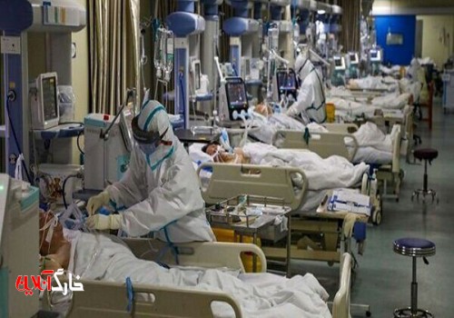 بستری ۴۴۵ بیمار کرونایی در استان بوشهر/ رکورد فوتی روزانه شکست