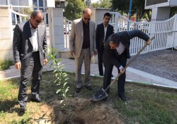 ۳۰ هزار اصله نهال به صورت همگانی در استان بوشهر توزیع می‌شود