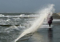 سواحل استان بوشهر متلاطم می‌شود/ هشدار برای ترددهای دریایی