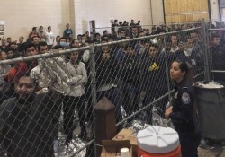 سازمان‌ملل درباره مهاجران بازداشتی در آمریکا هشدار داد