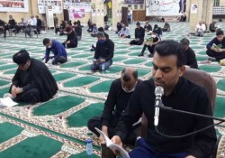 مردم استان بوشهر در دومین شب لیالی قدر ندای«الغوث الغوث» سر دادند