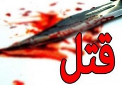 قتل مشکوک جوان ۳۲ ساله در گلخانه و دستگیری قاتل غیربومی در دشتستان