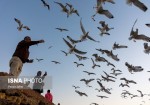 گردشگری از پول­‌سازترین صنایع در سطح دنیا محسوب می‌شود