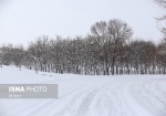 بارش برف و باران و کاهش دما/ از سفرهای برون‌شهری خودداری کنید