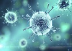 شناسایی ۵۴ مورد جدید مبتلا به کرونا ویروس در ایلام