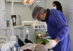 استقرارکلینیک دندانپزشکی درمرکزنگهداری بیماران اعصاب و روان گناوه